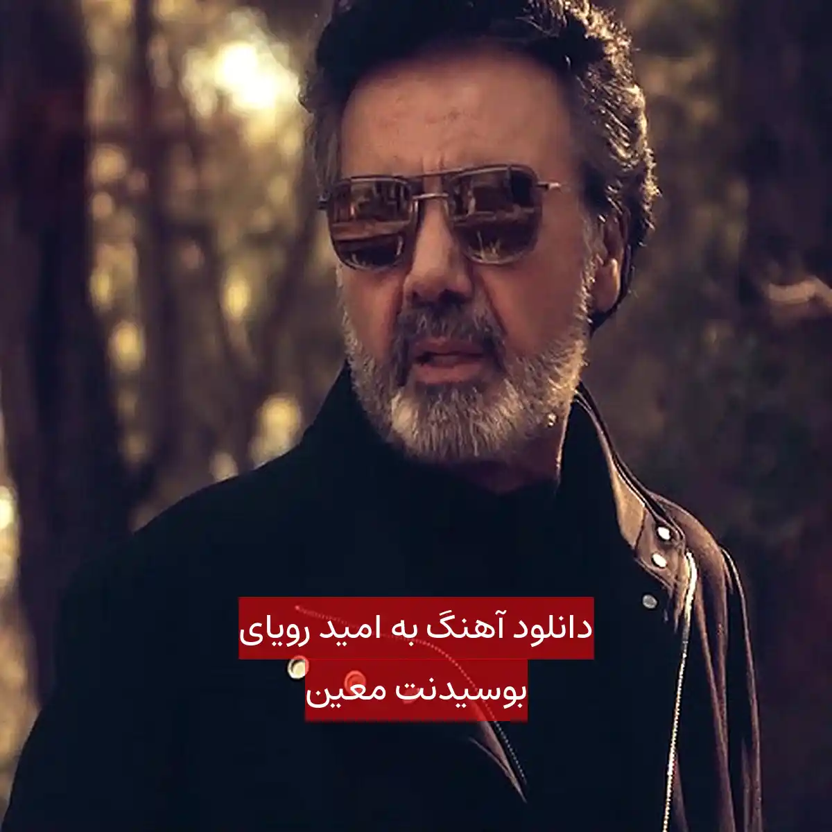 دانلود آهنگ به امید رویای بوسیدنت معین